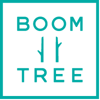 BoomTree Playgrounds