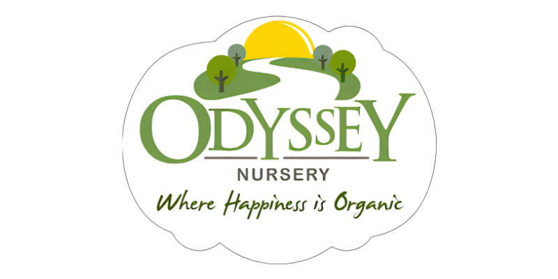 Odyssey Nursery logo